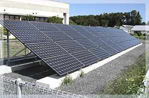 園芸指導センター　太陽光発電